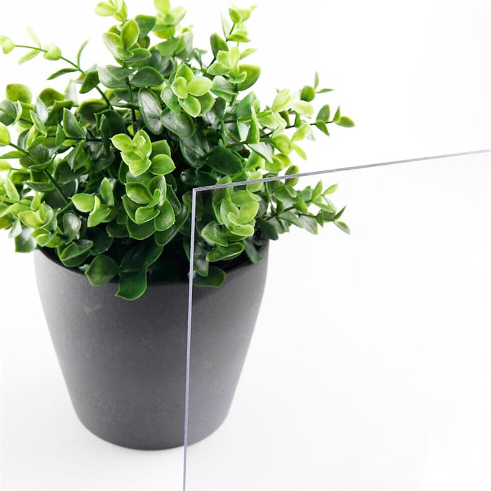 Billede af klar polycarbonate foran plante med hvid baggrund